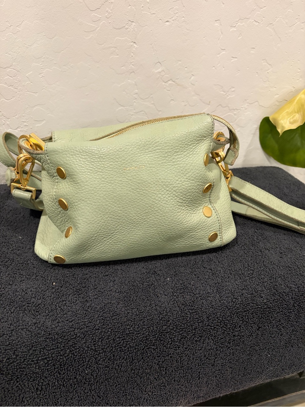 Mint Green Hammitt Leather Crossbody/Shoulder Bag